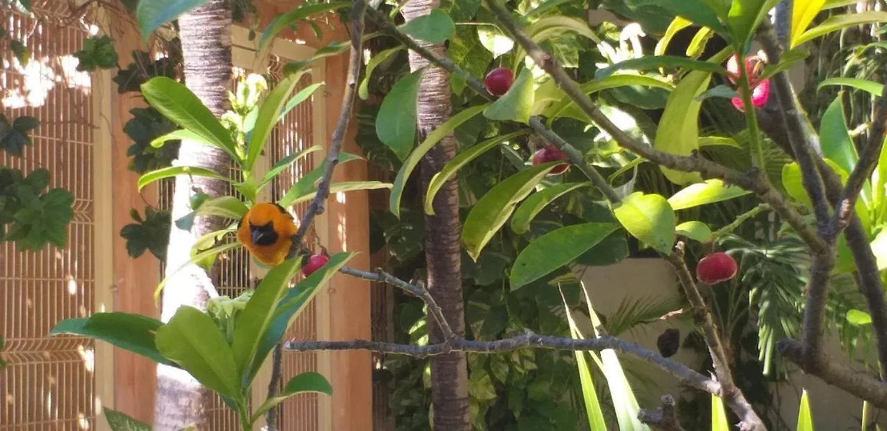 Hotel Posada Sian Kaan Playa Del Carmen