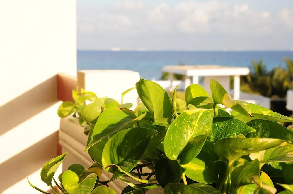 Hotel Posada Sian Kaan Playa Del Carmen